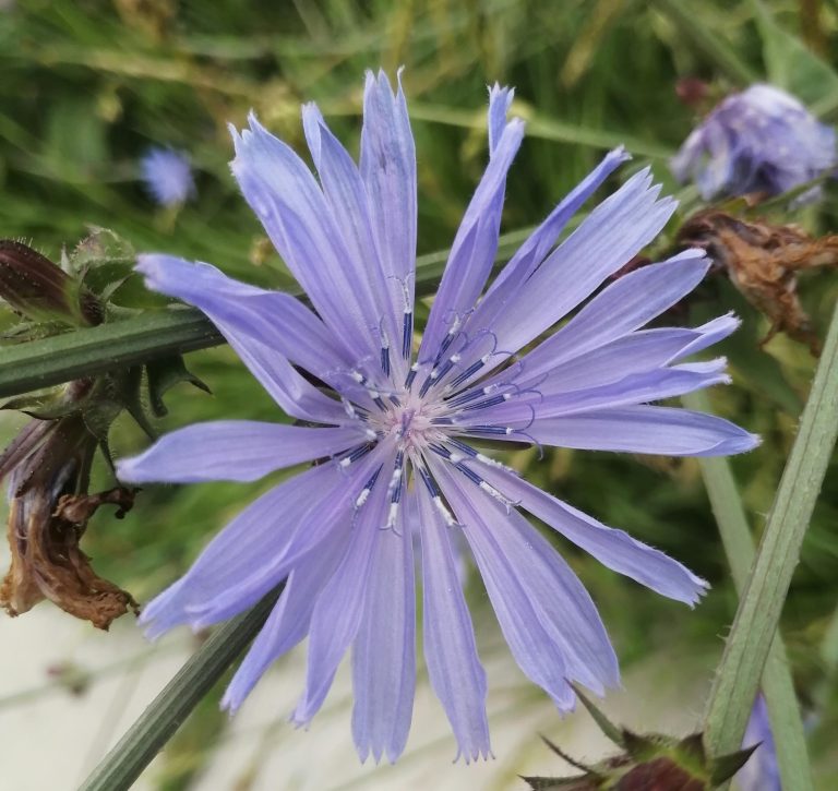 pexels-ksenia-i-75305793-8605369