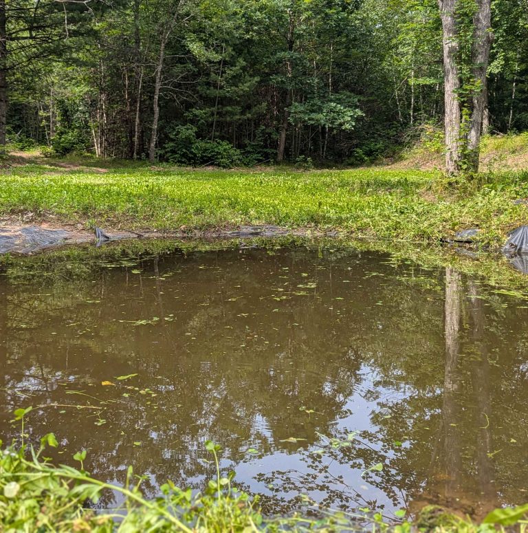 PXL_20240709_200424649